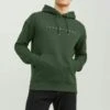 Jack & Jones EstarNoosFelpa Con CappuccioMountain View Uomo Maglieria E Felpe JA222S2YI-M11