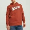 Jack & Jones Jjelogo 2 Col 23/24 NoosFelpa Con CappuccioCinnabar Uomo Maglieria E Felpe JA222S344-O12
