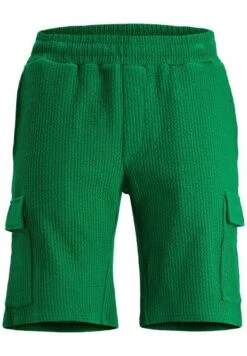 Jack & Jones ShortsVerdant Green Uomo Bermuda JA222F19H-M11 -Jack & Jones 259b1f687a71437eb10f271309c55459