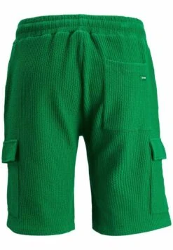 Jack & Jones ShortsVerdant Green Uomo Bermuda JA222F19H-M11 -Jack & Jones 5f043417fb28410b852de4d9e9653b29