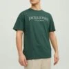 JACK&JONES Premium Jprblubooster Crew NeckT-Shirt Con StampaSycamore Uomo T-shirt E Polo JAM22O0DC-M11