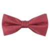 Jack & Jones Jaccolombia BowtiePapillonFudge Uomo Completi E Cravatte JA252R007-G11 -Jack & Jones d4a6a81c22c7404daa6a99e4e8e1c038
